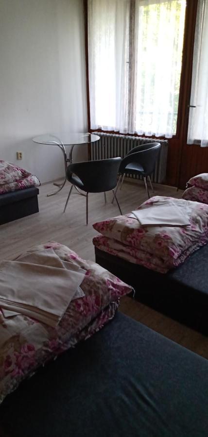 Hotel Druzstevni Dum Choustnik Extérieur photo